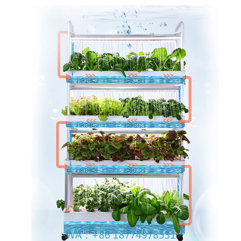 ydroponic Planting System Smar - Smart Home Automation Diy ulasan dan harga