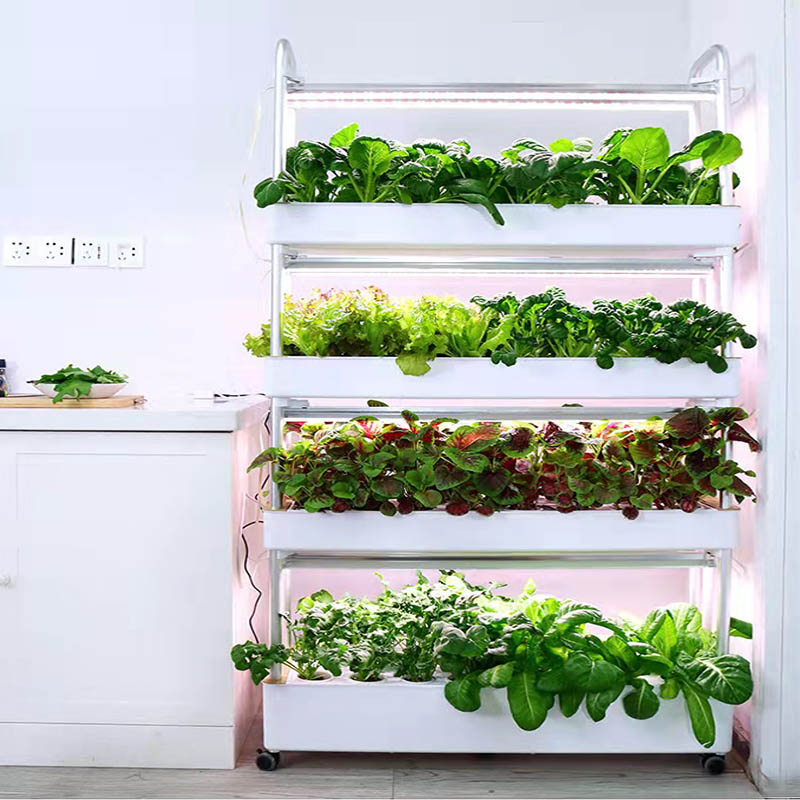 ydroponic Planting System Smar - Smart Home Automation Diy ulasan dan harga