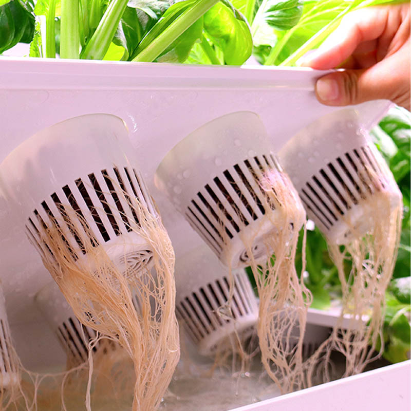 ydroponic Planting System Smar - Smart Home Automation Diy ulasan dan harga