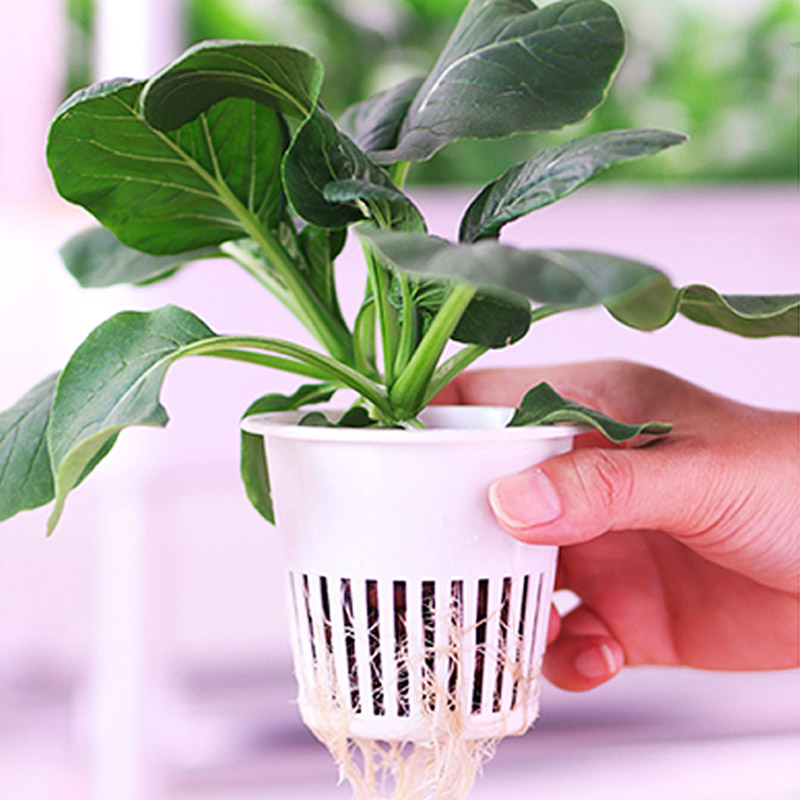 ydroponic Planting System Smar - Smart Home Automation Diy ulasan dan harga