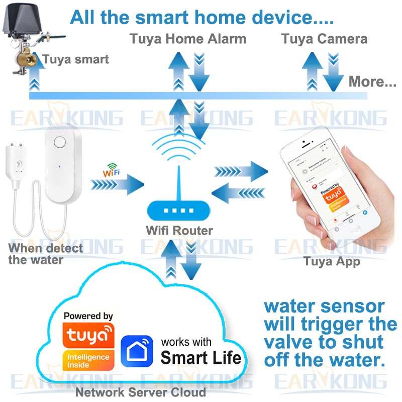 Tuya WiFi Smart Water Leak Sen - Home Automation Technology ulasan dan harga